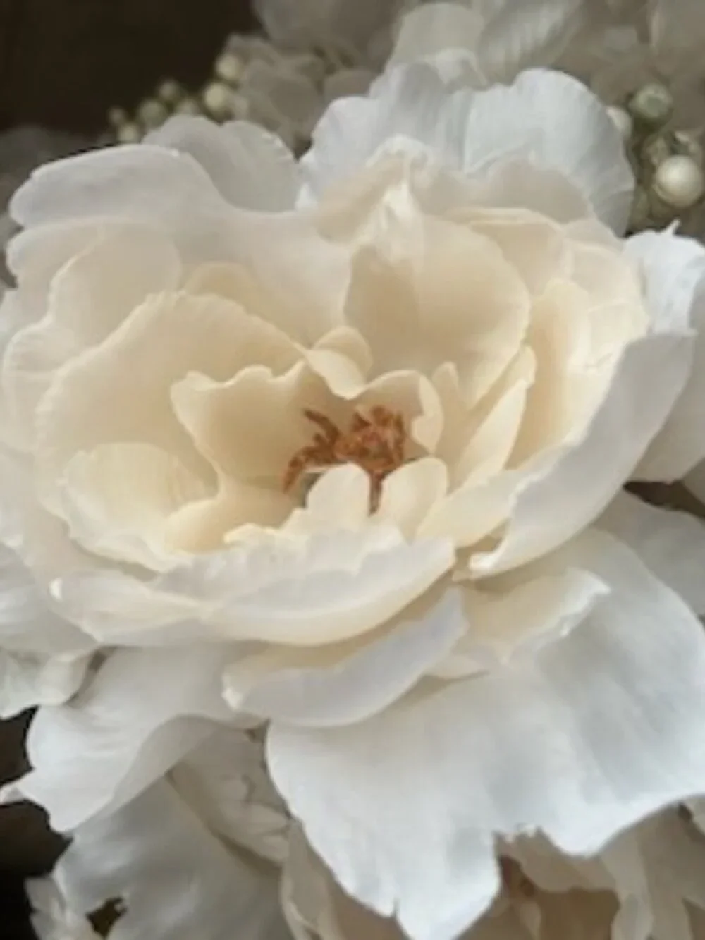 Set of 4 Delicate Cream Peonies Hydrangeas Mixed Flowers Bouquets